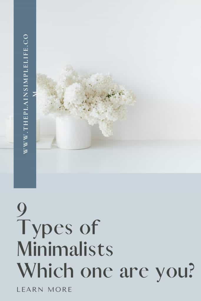 9 types of minimalists pin