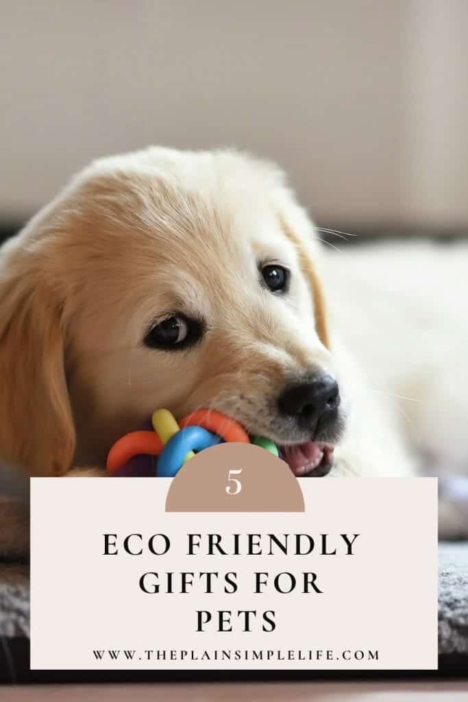 Eco friendly stocking fillers for pets Pinterest Pin