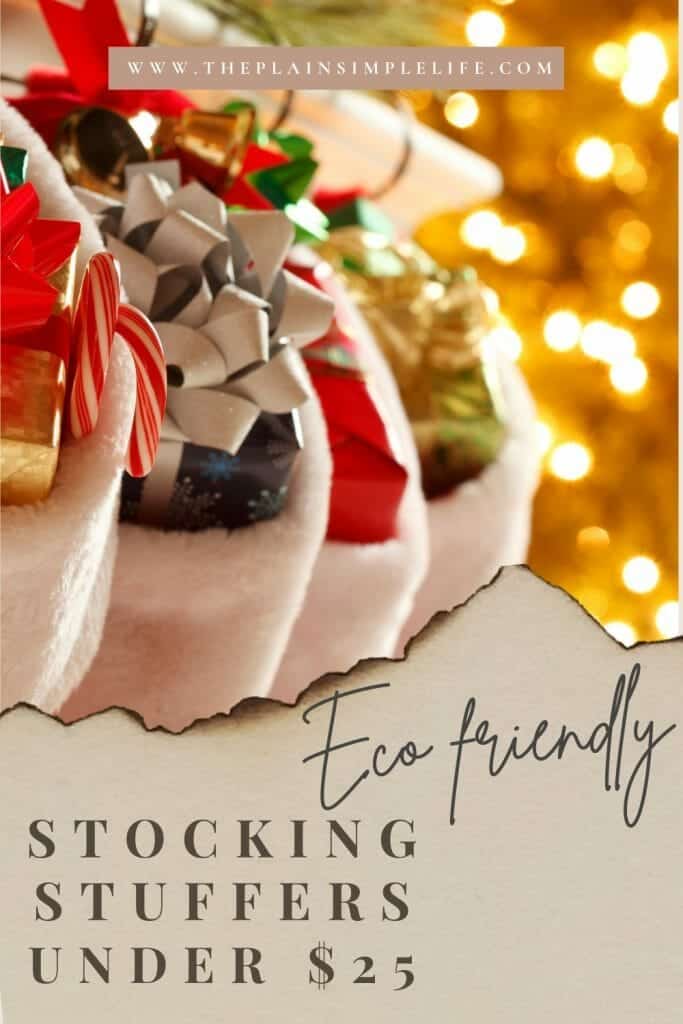 Eco friendly stocking fillers under $25 Pinterest Pin