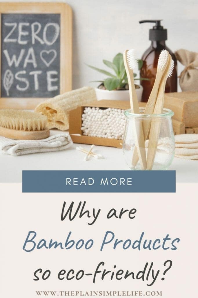 Why are bamboo products eco-friendly Pinterest Graphic